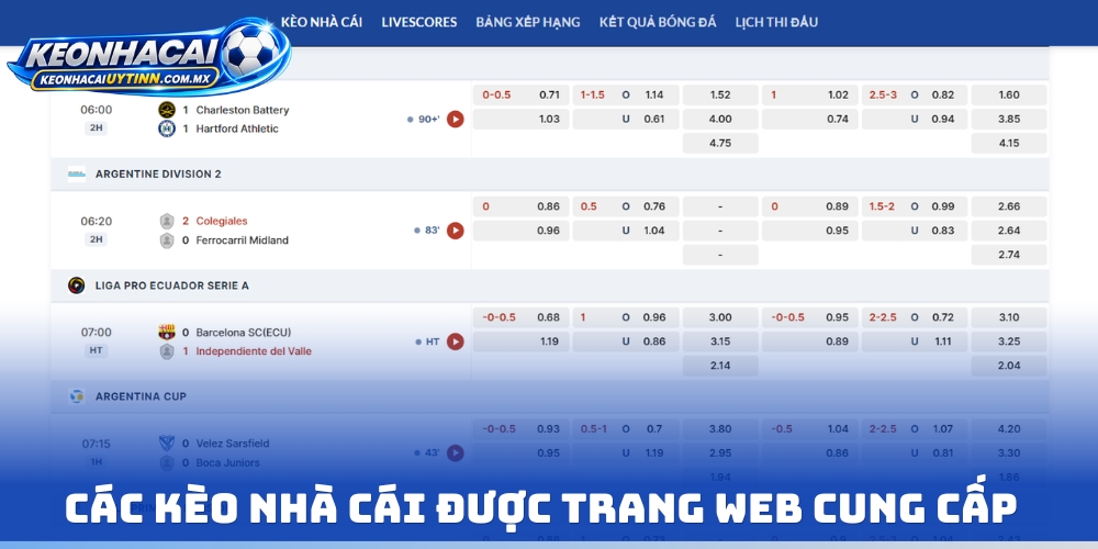 Các kèo nhà cái được trang web cung cấp