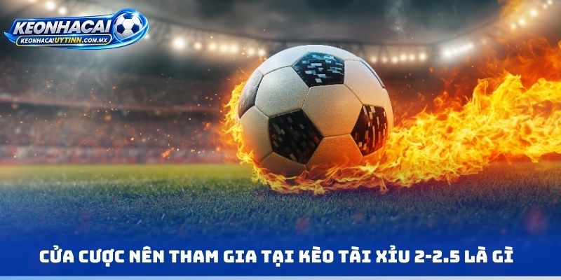 Cửa cược nên tham gia tại kèo tài xỉu 2-2.5 là gì
