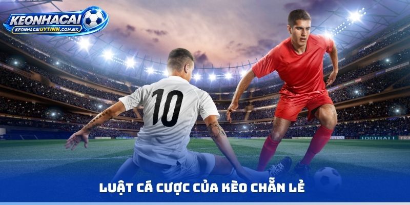 Luật cá cược của kèo chẵn lẻ