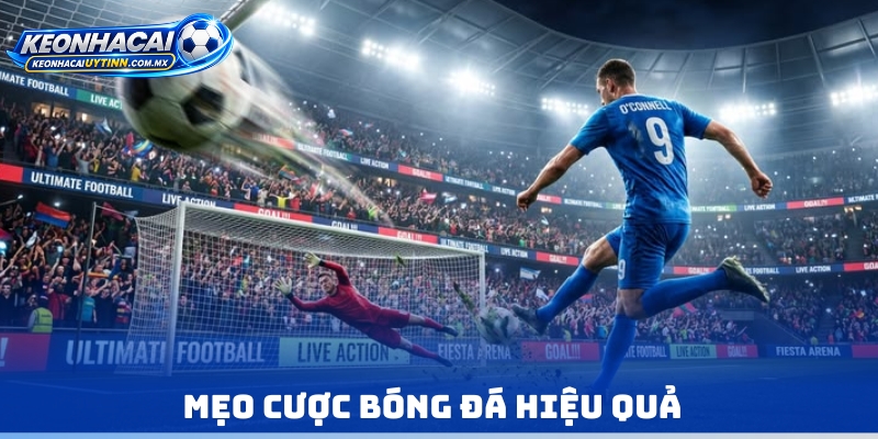 Mẹo cược bóng đá hiệu quả
