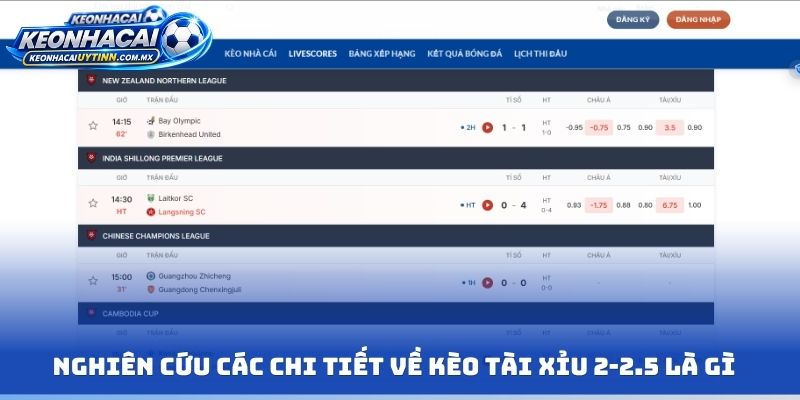 Nghiên cứu các chi tiết về kèo tài xỉu 2-2.5 là gì