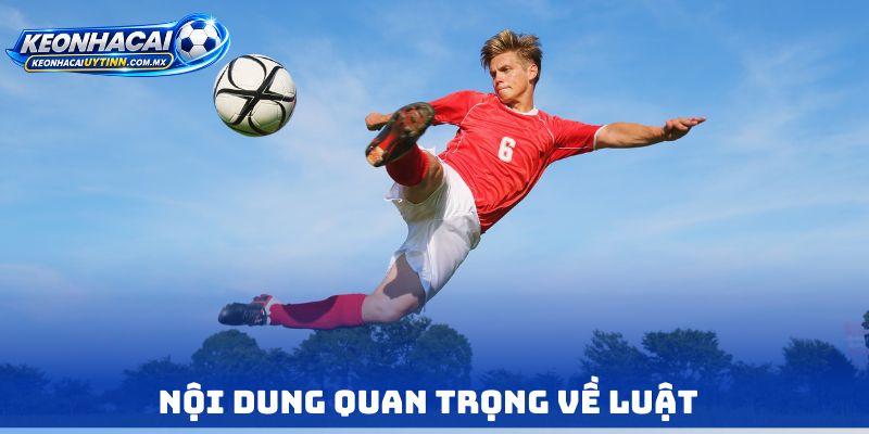 Nội dung quan trọng về luật