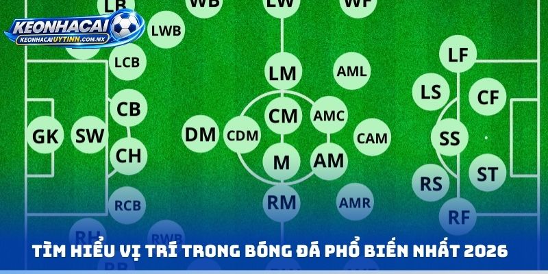 Tìm hiểu vị trí trong bóng đá phổ biến nhất 2026